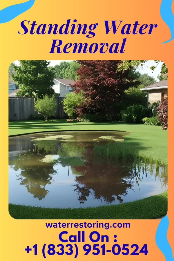 Standing Water Removal in South Riding, VA